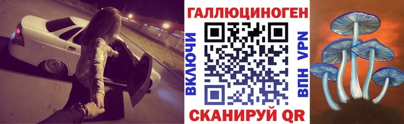 закладки  Лесосибирск  Псилоцибиновые грибы Psilocybe 